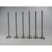 Imagem de Kit de Válvula de Escapamento Motor Yto